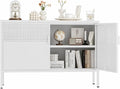Metal Storage Cabinet,2 Door TV Stand, Metal Mesh Accent Cabinet,Magnetic Door Closure,Low Storage Cabinets with Doors and Shelf for Home,Office,Living Room