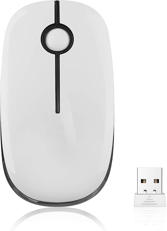 VssoPlor Wireless Mouse, 2.4G Slim Portable Computer Mice with Nano Receiver for Notebook, PC, Laptop, Computer-Black and White
