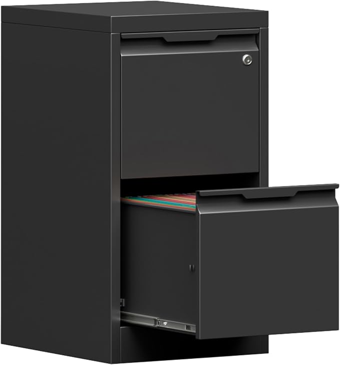 2-Drawer Metal File Cabinet with 1 Lockable Drawer,Steel Printer Stand with Storage for Home Office,Vertical Filing Cabinet for Legal/Letter/A4 Files,Assembly Required(15''W-2 Drawers,Black)