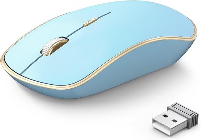 JOYACCESS Wireless Mouse for Laptop | 5 DPI Levels, Silent for Notebook, MacBook, Chromebook, PC - Blue