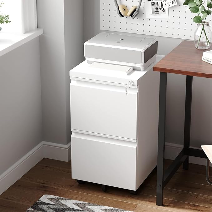 Letaya 2 Drawer Mobile File Cabinet with Lock,Under Desk Metal Filing Cabinets for Home Office Organizer Letters/Legal/A4(Fully Assembled-White)