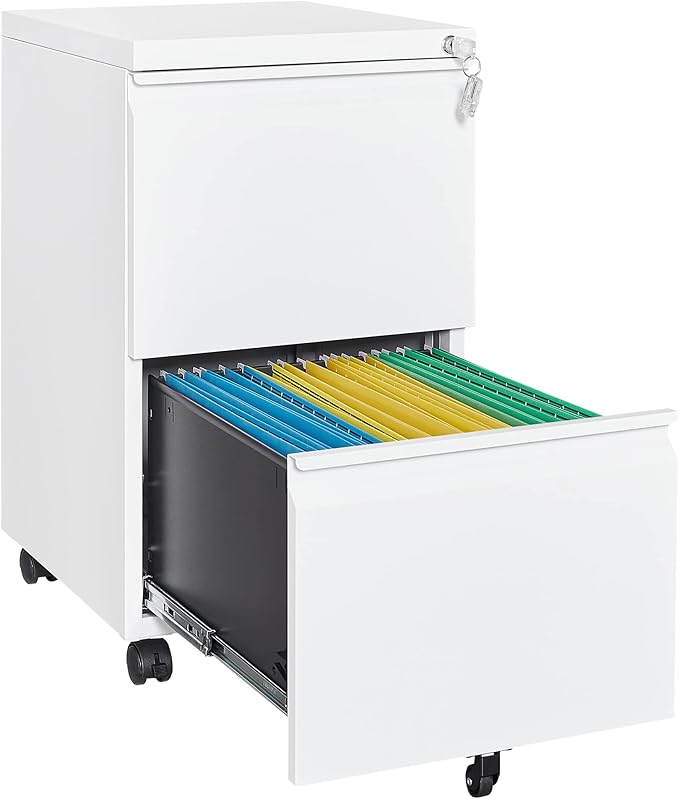 Letaya 2 Drawer Mobile File Cabinet with Lock,Under Desk Metal Filing Cabinets for Home Office Organizer Letters/Legal/A4(Fully Assembled-White)