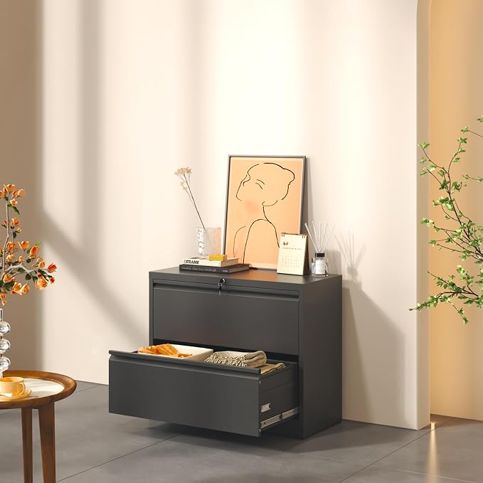2 Drawer Lateral File Cabinet, Metal Lateral Filing Cabinet for Home Office, Filing Cabinets for Letter/Legal/A4/F4 Hanging Files (Black)