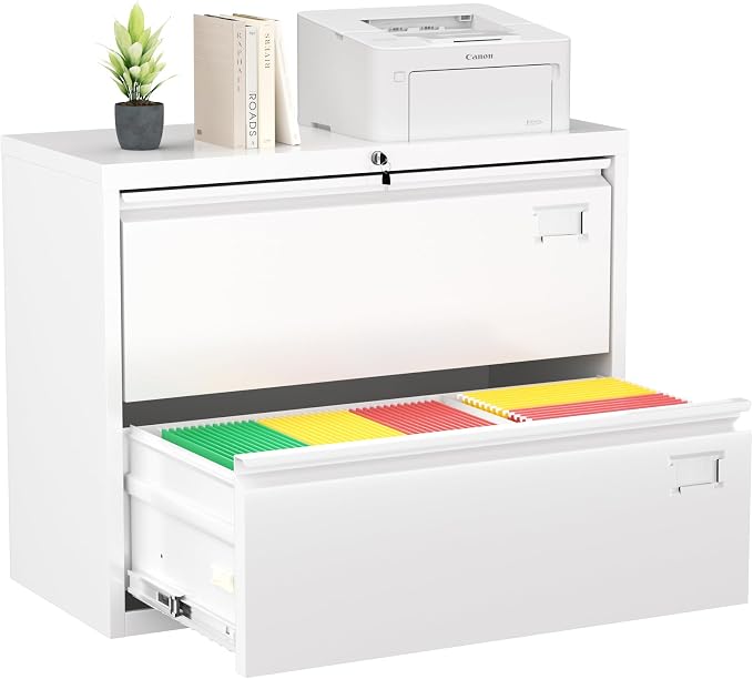 Greenvelly 2 Drawer Filing Cabinet, White Lateral File Cabinet with Lock, Metal File Cabinets with Adjustable Hanging Bars&2 Keys, Locking File Cabinet for Home Office, Legal/F4/Letter, Etc