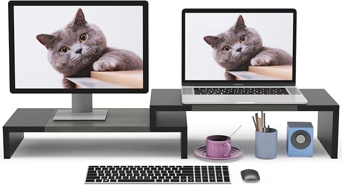 WESTREE Dual Monitor Stand Riser - 2 Shelf Computer Stand with Adjustable Length and Angle, Desktop Organizer for 2 Monitors