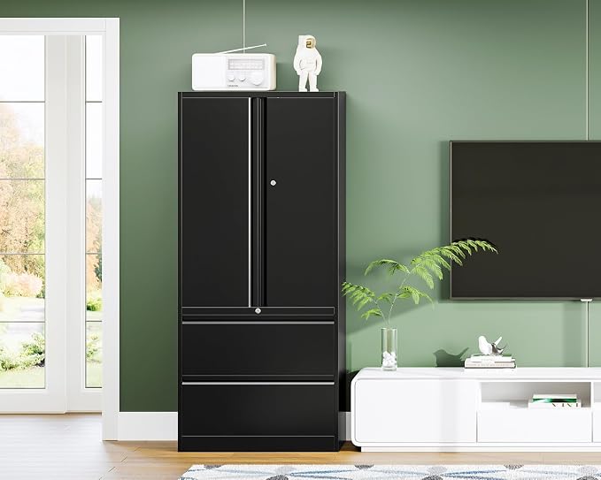 Letaya File Cabinet for Home Office, Metal Storage Cabinets with Adjust Shelves and Lock,2 Drawers Filing Cabinets-Hang Legal/Letter/A4/F4 Size Filing-Black