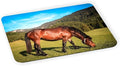 Beautiful Brown Horse Grazing - Ultra Thin Non-Slip Mouse Pad Mousepad for use with Laptops, Macbooks, Travel
