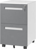SAWJEC 2 Drawer File Cabinet with Lock, Fully Assembled Filing Cabinet Rolling Printer Stand Under Desk fits Legal/A4/Letter Size, Home Office Storage,18" D x 15" W x 27" H, Grey
