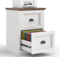 Halitaa Vertical File Cabinet, Filing Cabinet with 2 File Drawers, Farmhouse Small File Cabinet Fits Letter/A4 Size, Wooden Printer Stand, Under Desk Cabinets for Home Office, White