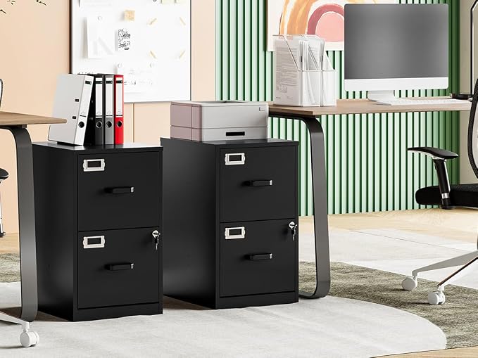 MIIIKO 2 Drawer Filing Cabinet with Lock, Metal Vertical File Cabinets for Home Office, Lockable File Storage Cabinets Under Desk, Letter/A4 File Folders Storage(Assembly Required)