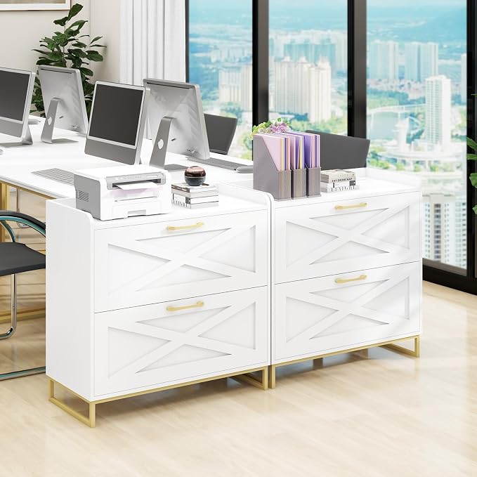 File Cabinet 2 Drawers Lateral File Cabinet with Charging Station for Letter/Legal/A4 Size Hanging Files, Large Wood File Storage Cabinets Printer Stand for Home Office, White and Gold
