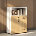 File Cabinet with Password Lock, Wood Lateral Filing Cabinet for Letter/A4 Files, 3 Drawer with Door, Printer Stand with Open Shelves for Home Office