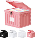 Small File Cabinet, Plastic File Box with Lid for Letter Size Hanging File Folders, Easy Carry Filling Box for Home, Office, School, Vertical File Cabinets, Stackable Storage Bins(Pink,1 Pack)