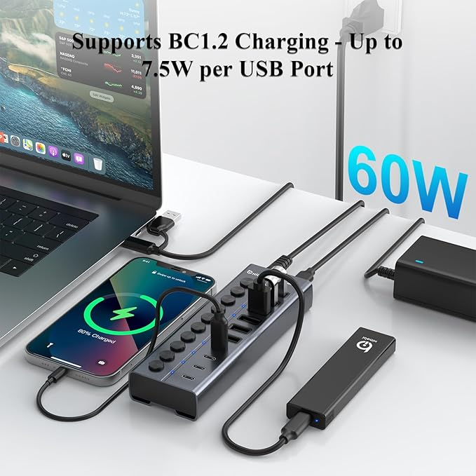 Powered USB Hub, 10-Port USB C Hub with 6 USB-A 3.2, 4 USB-C 3.2 Ports, Individual Switches and 12V/5A Power Adapter, Aluminum USB Extension for MacBook, Laptop/PC and More.