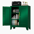 Green Metal Storage Cabinet, 36" Tall Locking Storage Cabinet with 2 Adjustable Shelves, Steel Locker Organizer, for Office, Home, School