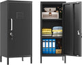 Black Metal Locker Cabinet, 35.4" H Home Office Storage Lockers, Vertical Steel Storage Cabinet with Locking Door and 2 Adjustable Shelves, Garage Tool File Cabinets for Home Office,Garage,Bathroom