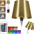 2026 New Wireless Bottle Lamp,RGB LED Bottle Light with Remote(RGB Gold Plating, 1pc)