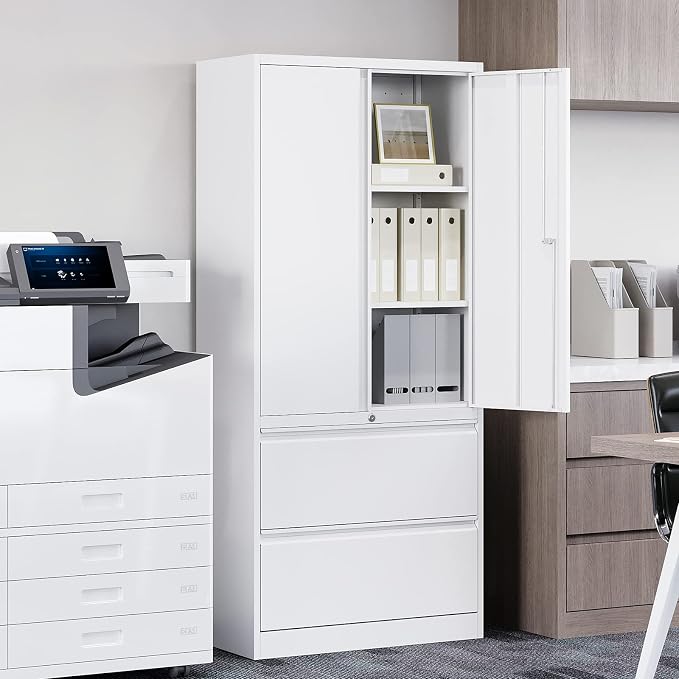 STANI 2 Drawer Lateral File Cabinet, Metal Storage with Drawers, Locking File Cabinet with Shelves, Metal Storage Cabinets for Letter/Legal/F4/A4 Size Files