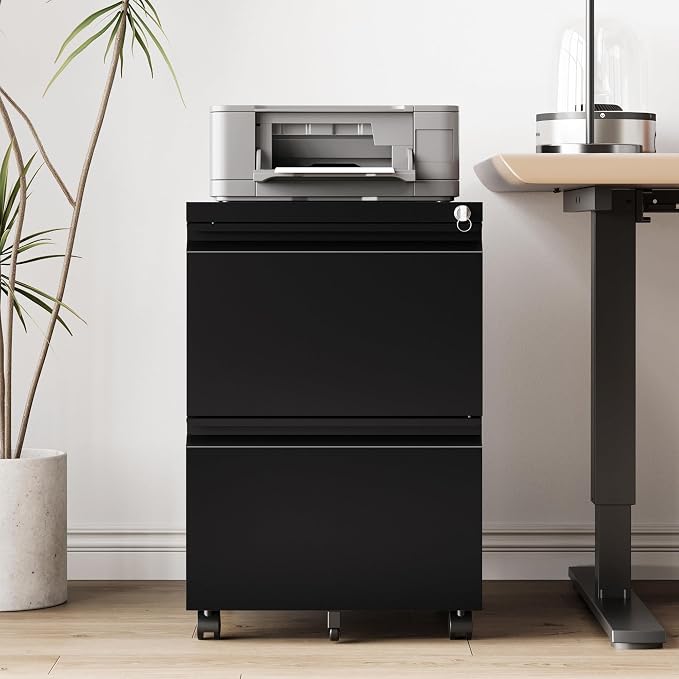 RAVIGIN 2 Drawer File Cabinet，Mobile Filing Cabinet with Lock and Wheels，Fully Assembled Metal Under Desk File Cabinets for A4/Letter/Legal Size（Black
