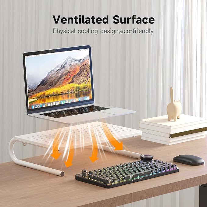 suptek Monitor Stand Riser for Computer,Laptop,Printer, Notebook and All Flat Screen Display with Vented Metal Platform and 4 Inches Height Underneath Storage,White(MST004W)