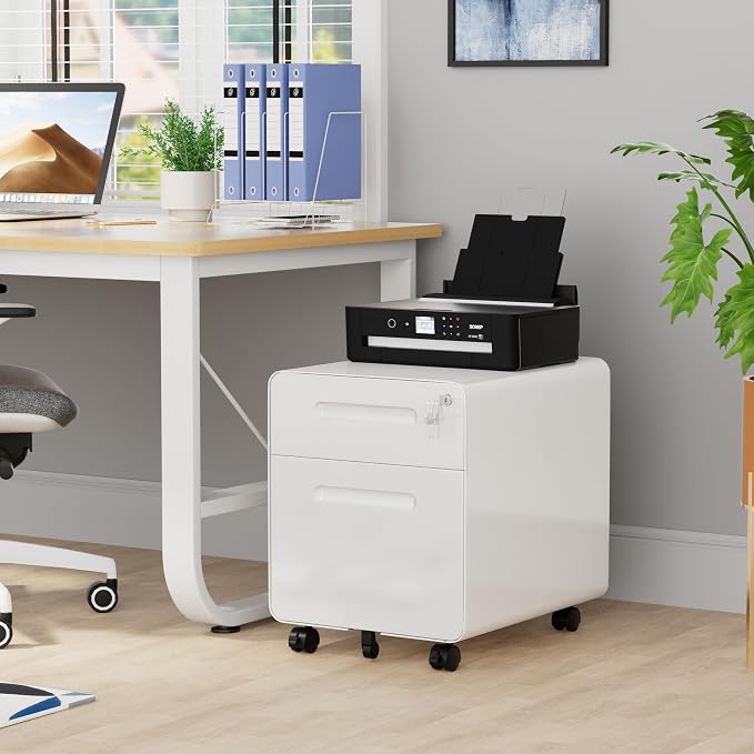 2 Drawer File Cabinet with Lock and 4 Keys, Mobile Metal Filing Cabinet, File Cabinets for Home Office, Under Desk, Pre-Assembly, File Drawer, Letter/Legal/A4 Hanging File Folders