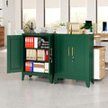 Green Metal Storage Cabinet, 36" Tall Locking Storage Cabinet with 2 Adjustable Shelves, Steel Locker Organizer, for Office, Home, School, 11.81" D x 23.62" W x 35.83" H, 2PS