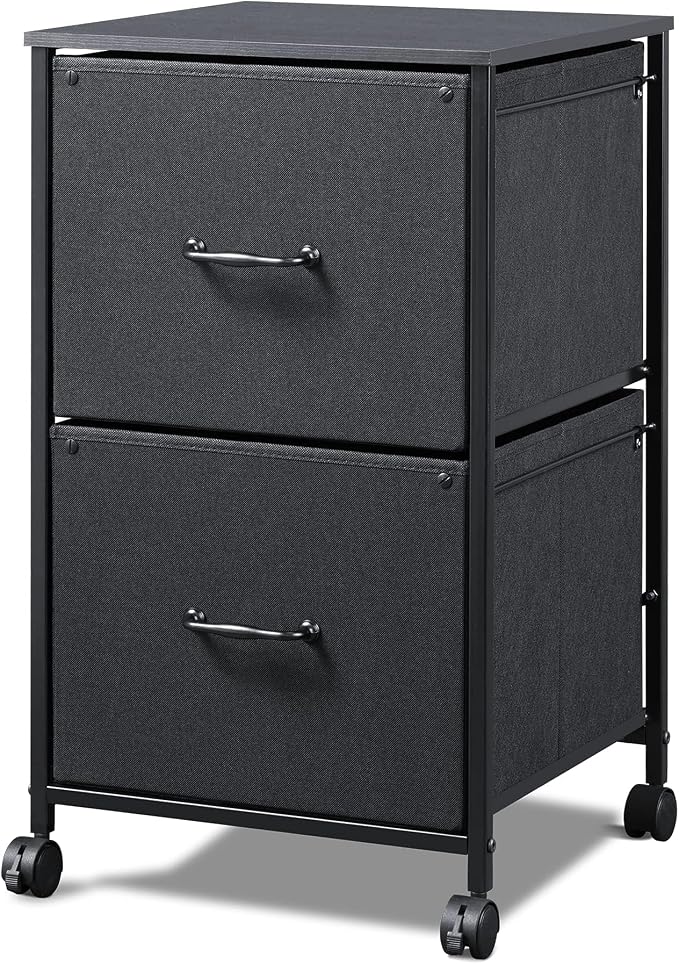 DEVAISE 2 Drawer Mobile File Cabinet, Rolling Printer Stand, Fabric Vertical Filing Cabinet fits A4 or Letter Size for Home Office, Black