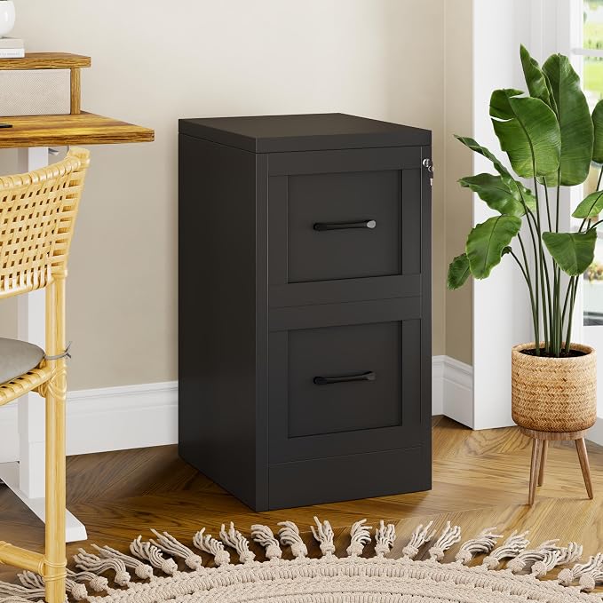 GAIOUS Metal Vertical File Cabinet with Lock, Home Office File Cabinet | 2 Drawer Under Desk Cabinet, Metal Filing Cabinet, Black Lockable Storage Cabinet, Fits Letter/Legal/A4 Size