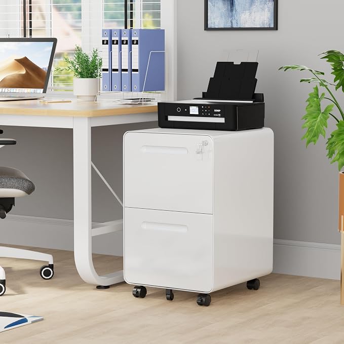 2 Drawer File Cabinet with Lock and 4 Keys, Mobile Metal Filing Cabinet, File Cabinets for Home Office, Under Desk, Pre-Assembly, File Drawer, Letter/Legal/A4 Hanging File Folders