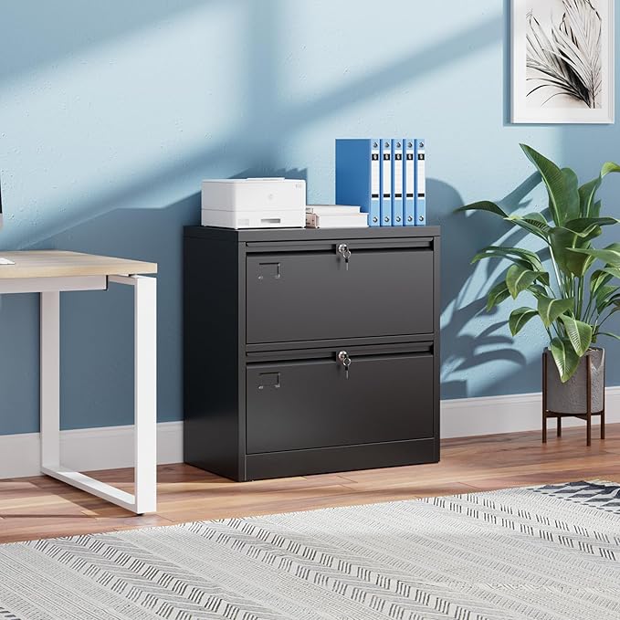 Aobabo 2 Drawer Lateral File Cabinet with 2 Independent Locks, Metal Filing Storage for Home Office, 15.75" D x 28.82" W x 30.24" H,Black,Assembly Required
