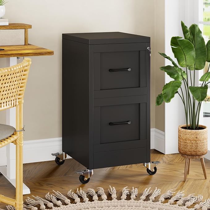 Small Metal 2-Drawer File Cabinet, Under Desk Office Cabinet, Black | Rolling, Locking, Adjustable Hanging Rail, Fit A4, FC, Letter, Hanging File Folders for Home Office Storage Organization, 1PS